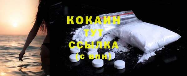 соль ск Богородицк