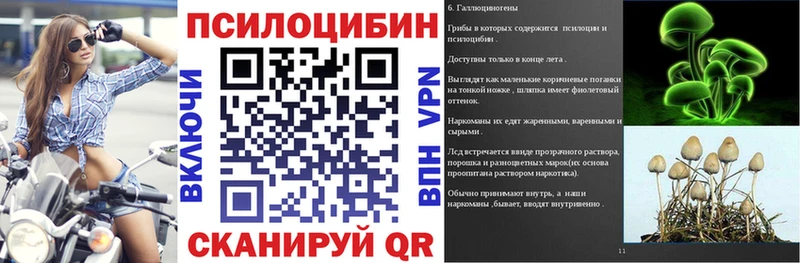 Псилоцибиновые грибы мухоморы  дарнет шоп  Новопавловск 